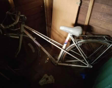 Photo of free Bike for teens (spares or repair) (Stanway CO3) #1