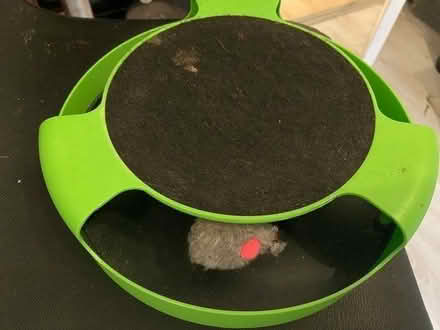 Photo of free Cat toy (BR3) #1