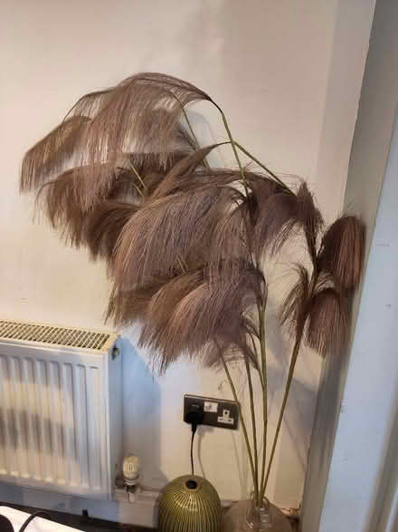 Photo of free Decorative feathers (Kings Heath B14) #1