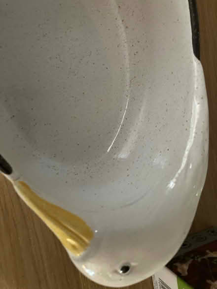 Photo of free Goose casserole dish (Fry’s Hill OX4) #2