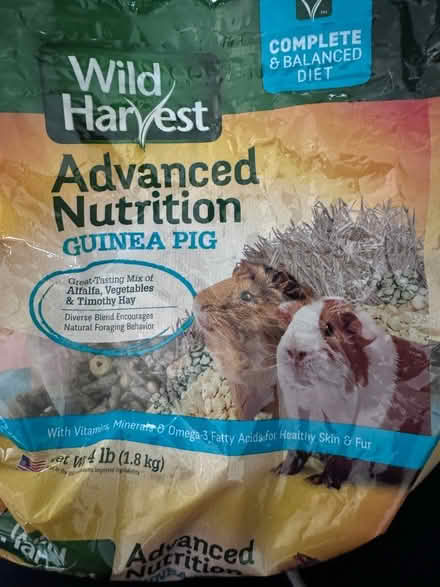 Photo of free Guinea Pig Advanced Nutrition (germantown, md) #1