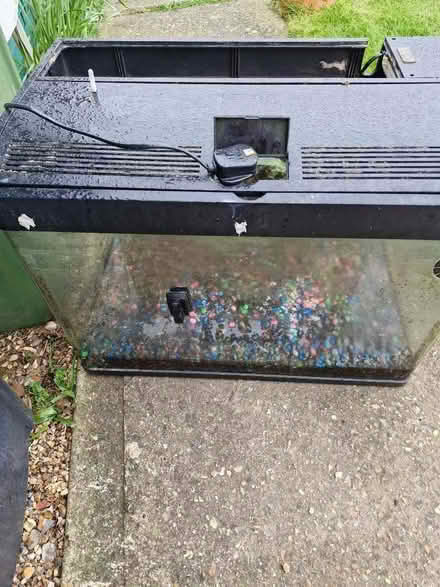 Photo of free Fish tank extras (Wiggenhall St Mary Magdalen PE34) #1