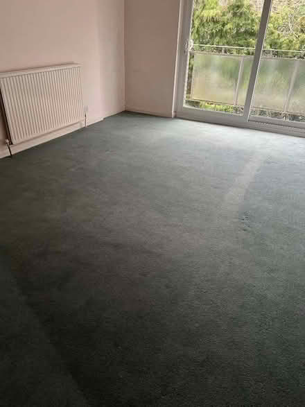Photo of free Large carpet 3.6m x 5.4m (GU14) #1