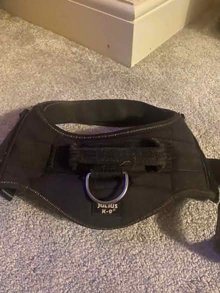 Photo of free Julius K9 Harness (Portsmouth PO2) #3