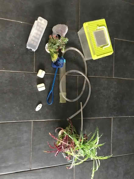 Photo of free Aquarium bits (Rusthall TN4) #1