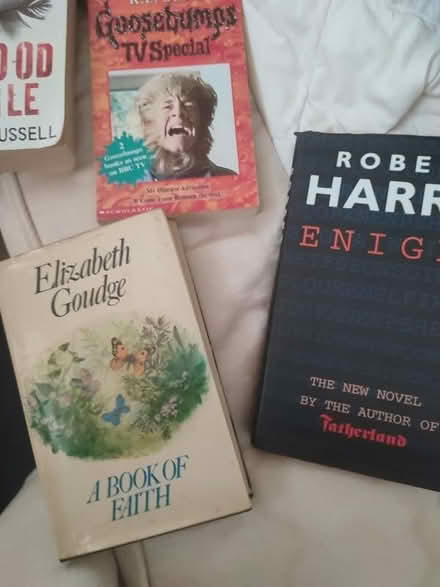 Photo of free More books (Upper Holloway N19) #2