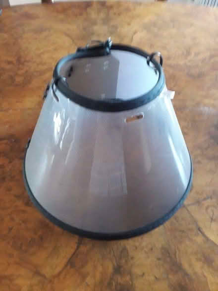 Photo of free Dog collar (Starbeck HG1) #1