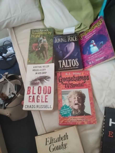 Photo of free More books (Upper Holloway N19) #1
