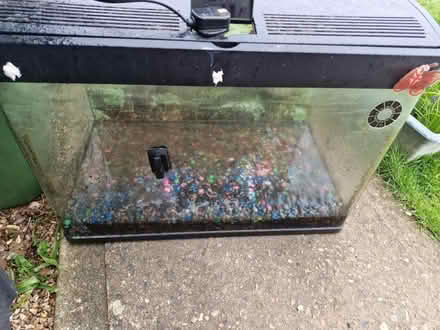 Photo of free Fish tank extras (Wiggenhall St Mary Magdalen PE34) #2