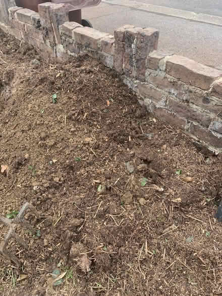 Photo of free Top soil (Aldwick PO21) #1
