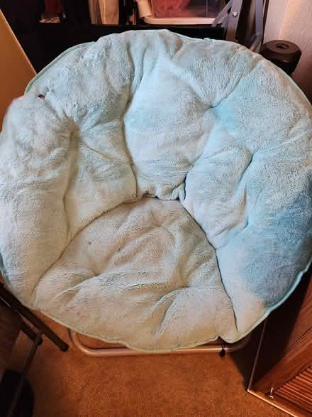 Photo of free Large round papoose chair (Hayward) #2
