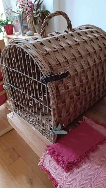 Photo of free Whicker cat basket plus cat/kitten toys. (Canton CF11) #2