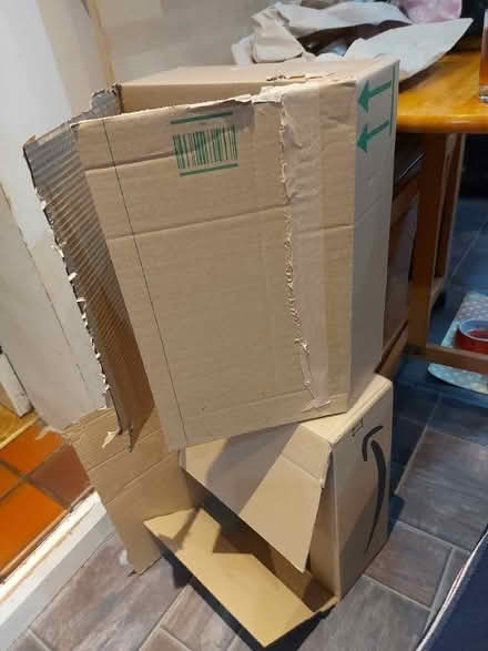 Photo of free Cardboard boxes (Battle Hill NE28) #1