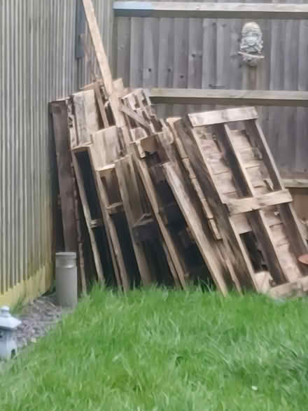 Photo of free wood (Oxford OX4) #1