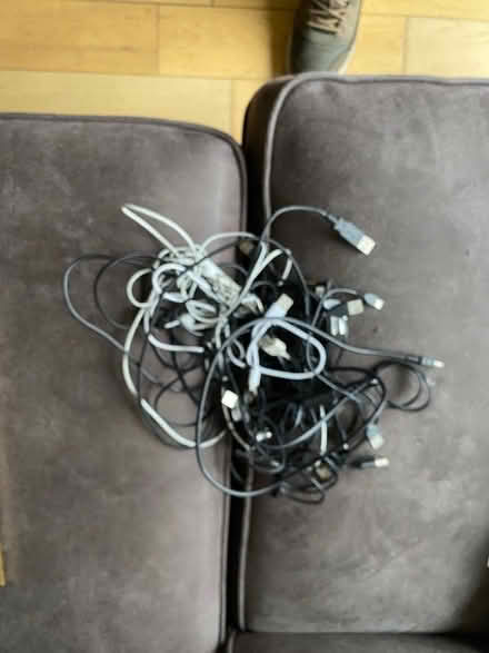 Photo of free cables various (Liberton EH16) #1