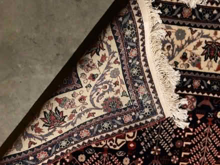 Photo of free Area Rug 8'x10' (West Hollywood) #2