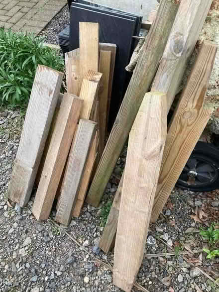 Photo of free Wood (Hayling Island PO11) #1