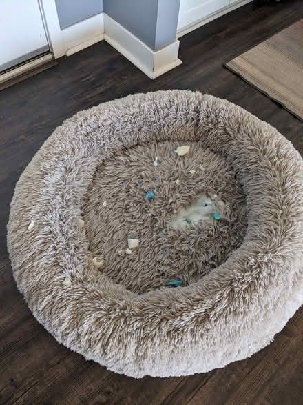 Photo of free Ripped dog bed (Terra Vista Way and Pierce Ave) #1