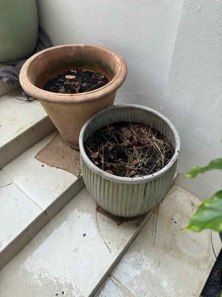 Photo of free big pots and hose (W11) #3
