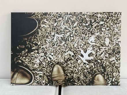 Photo of free Original film photo canvases (SW18) #4