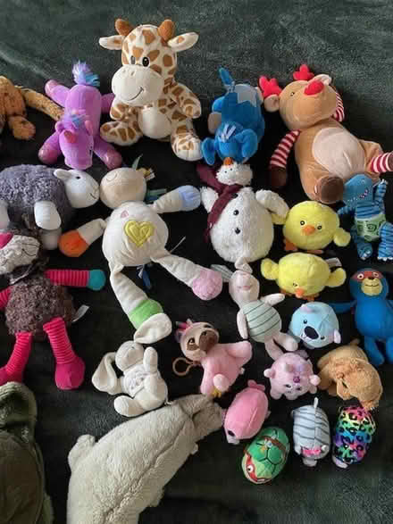 Photo of free Bundle of children's soft toys (Pokesdown BH6) #2