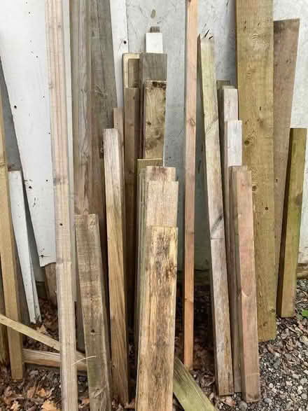 Photo of free Wood (Hayling Island PO11) #2