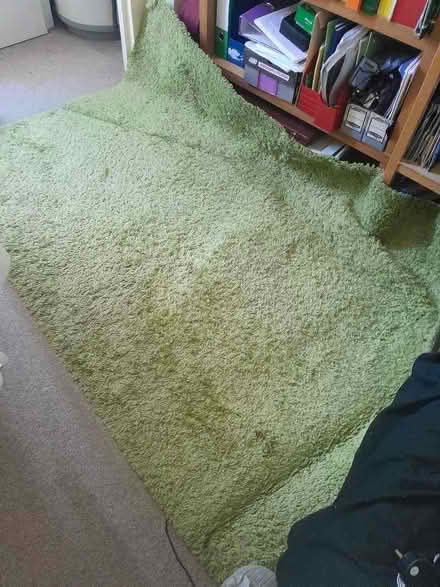 Photo of free Green Ikea Carpet (Lewisham SE13) #1