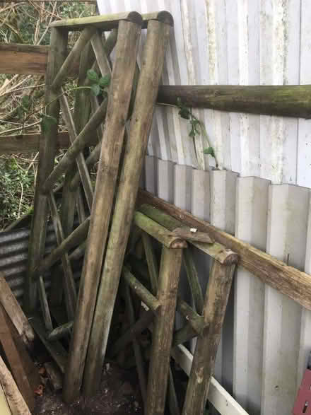 Photo of free Garden Trellis (Batch Farm BA3) #1