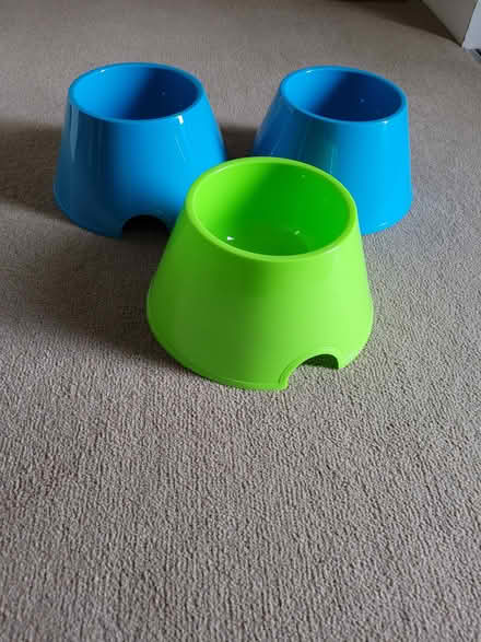 Photo of free Spaniel Bowls - Never Used (Goodrington TQ4) #2