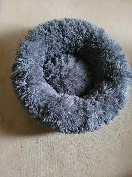 Photo of free New Calming Dog & Cat Donut Bed (Goodrington TQ4) #1