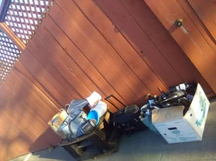 Photo of free freebies various (Capewood and junewood) #1