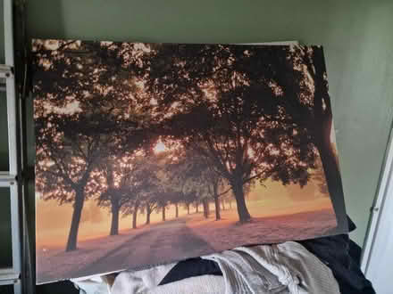 Photo of free Large canvases (PO19) #2