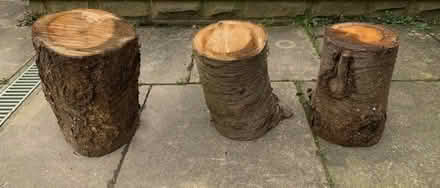 Photo of Large tree/wood logs (Merry Hill WD23) #2