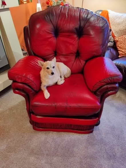 Photo of free Leather Manual Recliner Chair (Pin Green SG1) #1
