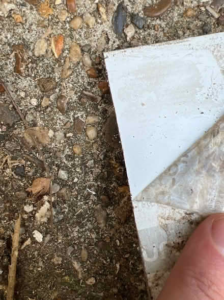 Photo of free PVC capping / fascia board (Boreham CM3) #3