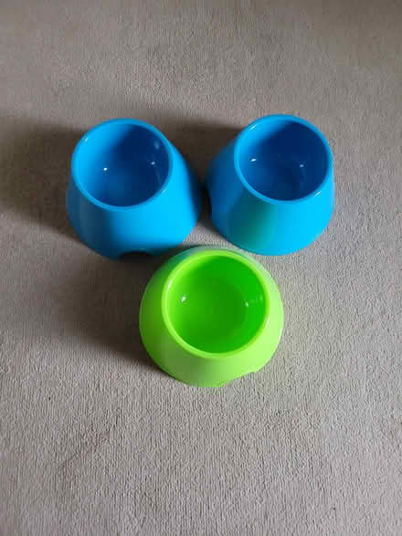 Photo of free Spaniel Bowls - Never Used (Goodrington TQ4) #1