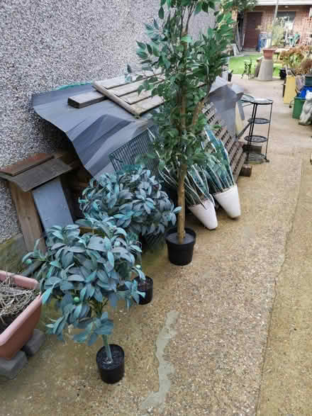 Photo of free Artifical plants (Norbury SW16) #1
