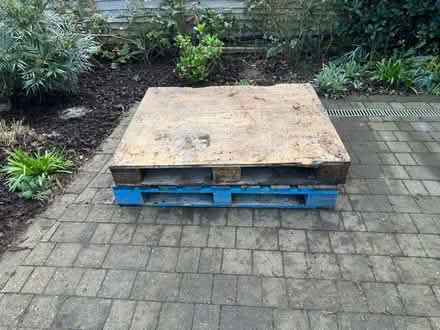 Photo of free Pallets (ashford) #1