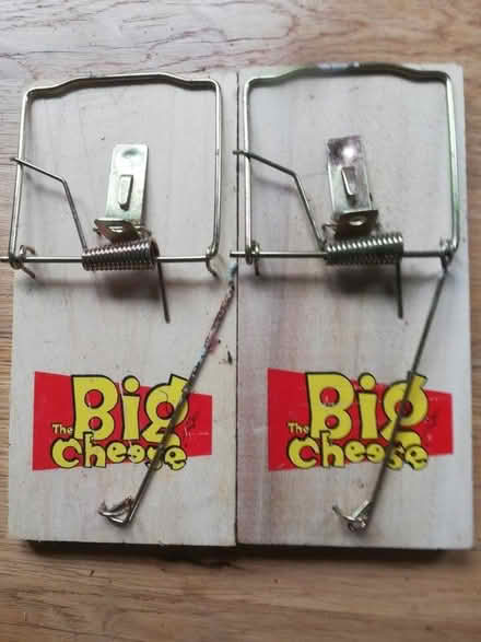 Photo of free Rat/mouse traps (Sedbergh LA10) #1