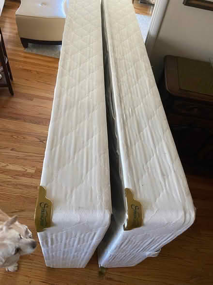 Photo of free King Size Bed Foundation (Remington Ave in Sunnyvale) #2