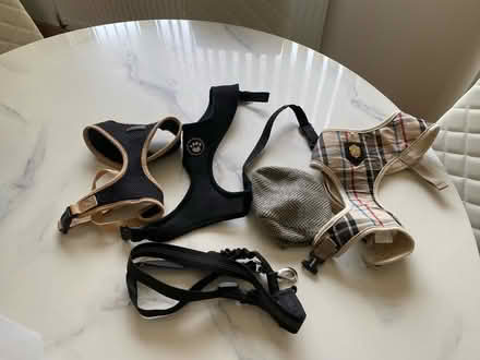 Photo of free Dog harnesses (Slough SL3) #1