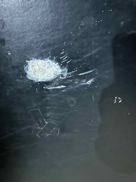 Photo of free Standard Card Table (Los Gatos) #2