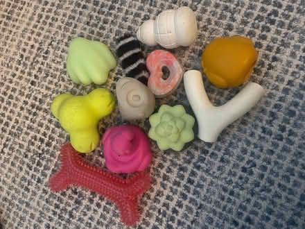 Photo of free Dog chew toys (Chelsea, ny) #1