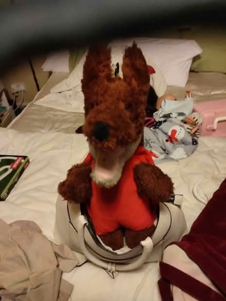 Photo of free Basil Brush (Upper Holloway N19) #1