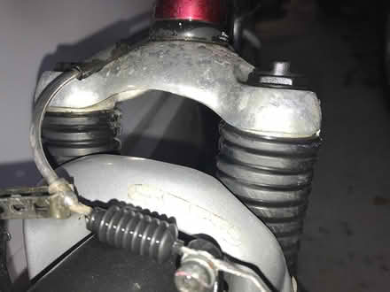 Photo of free Trek Bicycle (Nashua off 7E behind the "99") #3