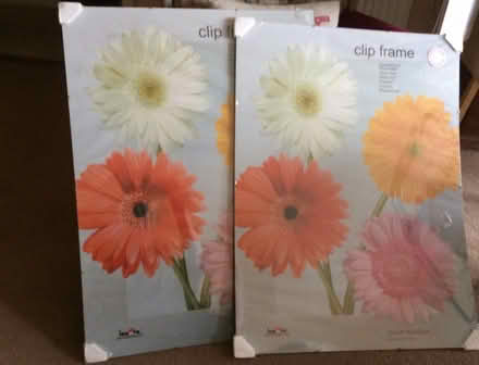 Photo of free 2 x Large Frameless Clip Frames measuring 60 x 80cm. NEW. (St James, South Elmham IP19) #1