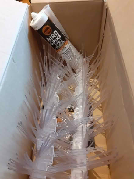 Photo of free Box of pigeon spikes and fixative (West Wickham BR4) #1