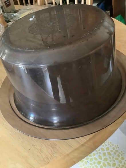 Photo of free Cake, baking holders (Dovedale Dr & Rosedale Dr) #2