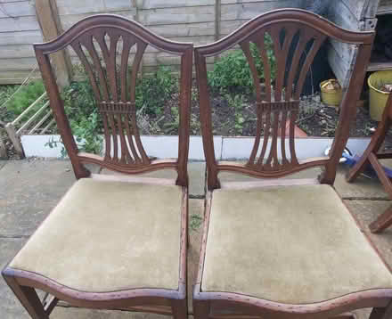 Photo of free 4 dining chairs - used (London N17) #2