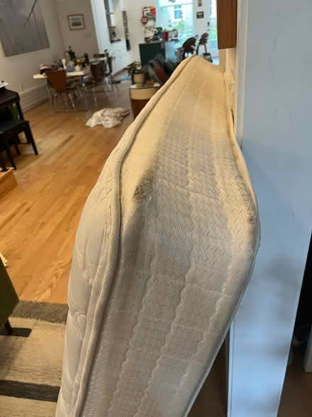 Photo of free Serta Mattress Full Size (Adams Morgan) #4